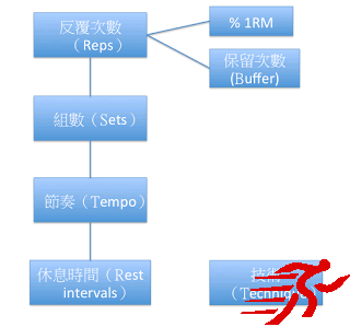 根据训练目标确定你的组次数