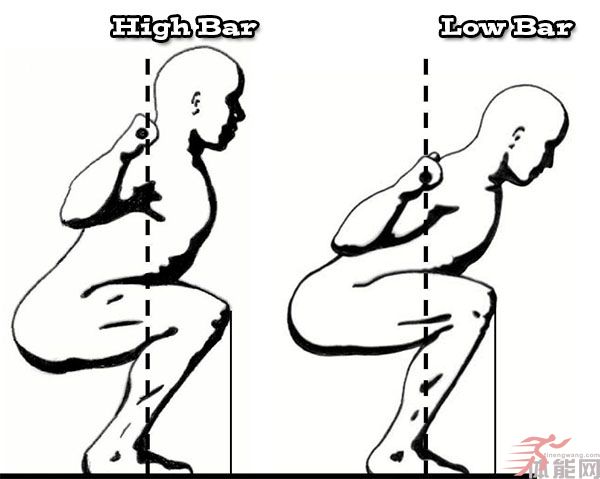 深蹲高杆位和低杆位的差别以及优点和缺点-第3张图片-体能网