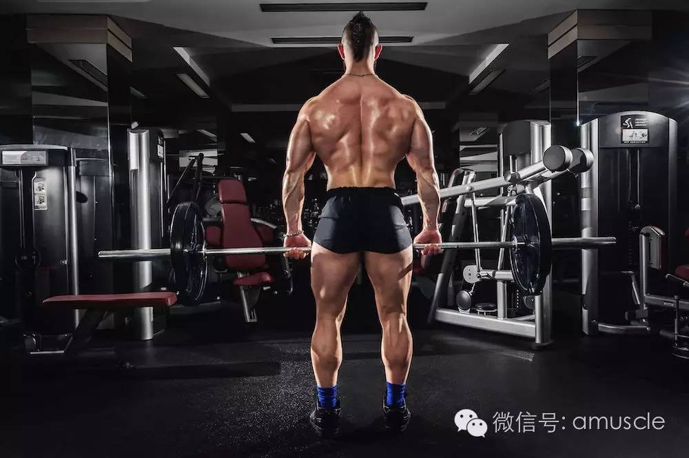 腿不知道怎么练？360度无死角教程都在这里！-第18张图片-体能网