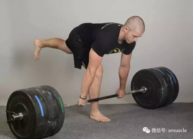 最强腿部训练计划-第8张图片-体能网
