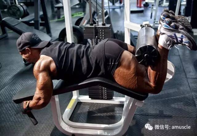 最强腿部训练计划-第14张图片-体能网