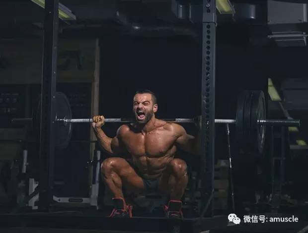 最强腿部训练计划-第4张图片-体能网
