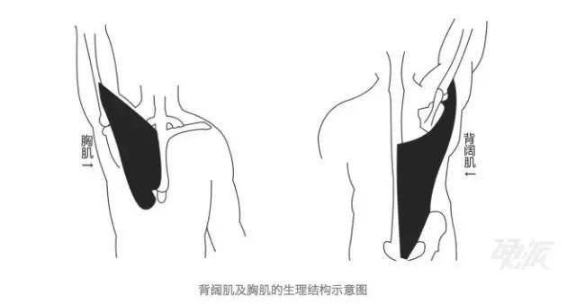 防止受伤，还能增加力量的热身技巧-第3张图片-体能网