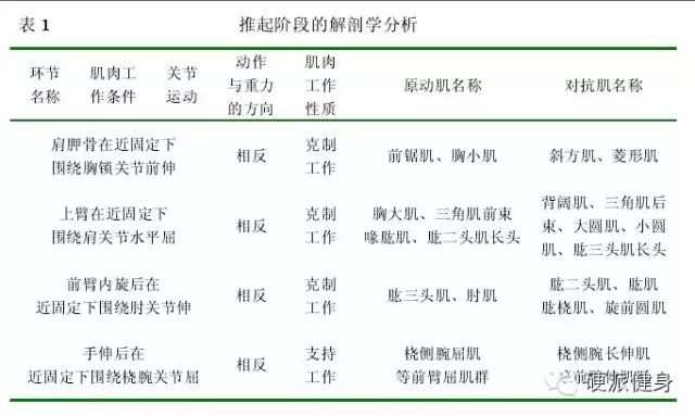 面拉：一个对肩关节形态、健康和改善圆肩等体型有效的动作-第2张图片-体能网
