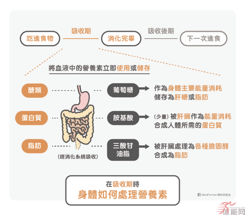 生酮饮食与低糖饮食（低碳饮食）可能的好处与风险-第2张图片-体能网
