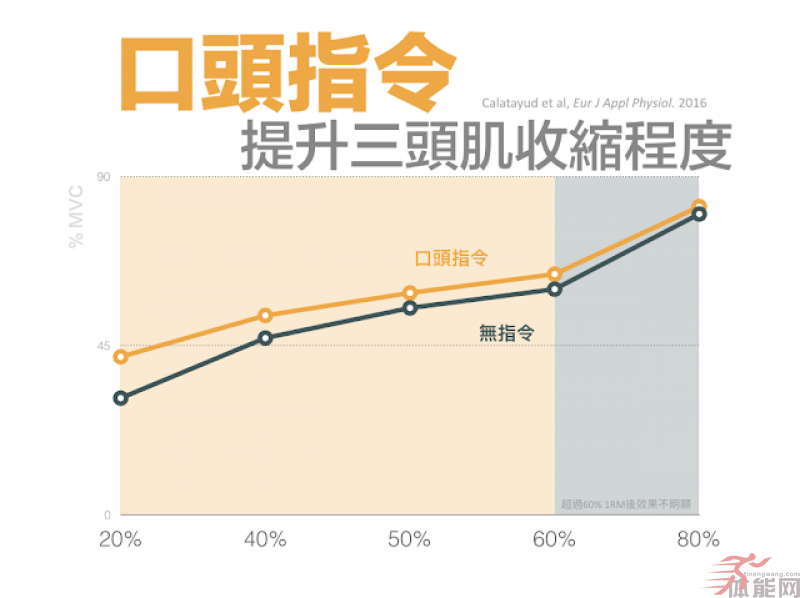 训练时如何更有效征召肌肉？-第3张图片-体能网