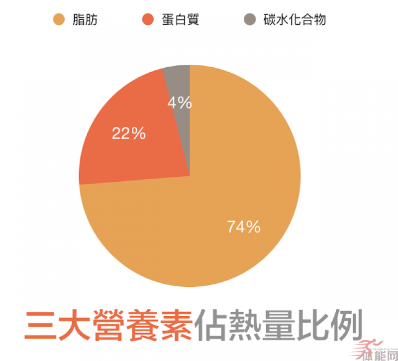 为什么我不吃生酮饮食？-第4张图片-体能网