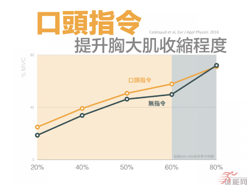 训练时如何更有效征召肌肉？-第2张图片-体能网