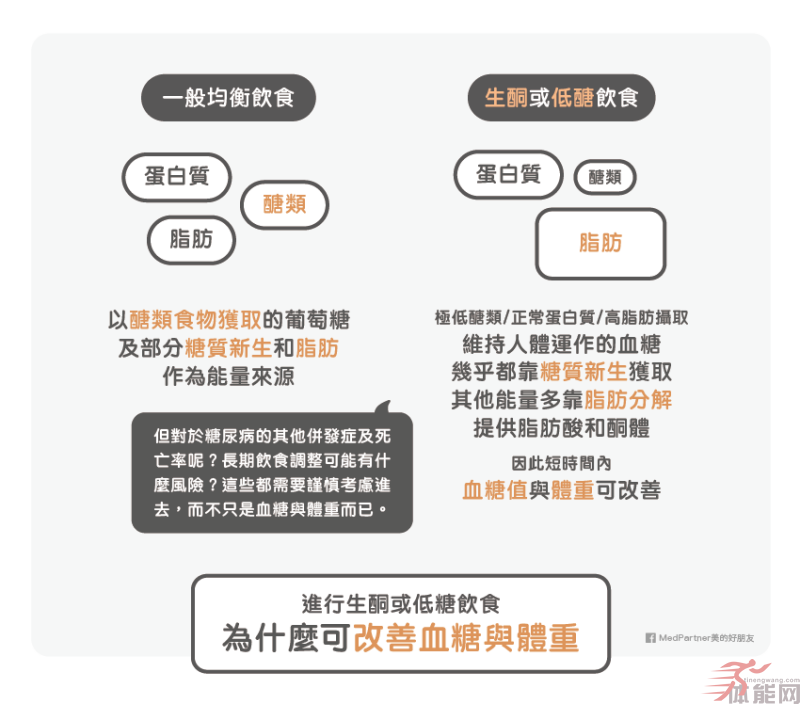 生酮饮食与低糖饮食（低碳饮食）可能的好处与风险-第7张图片-体能网