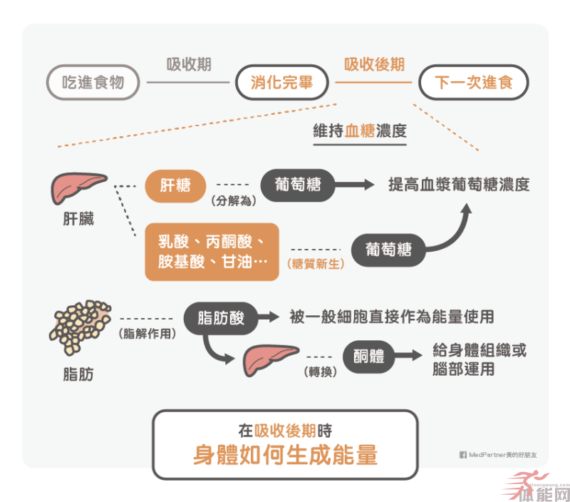 生酮饮食与低糖饮食（低碳饮食）可能的好处与风险-第6张图片-体能网