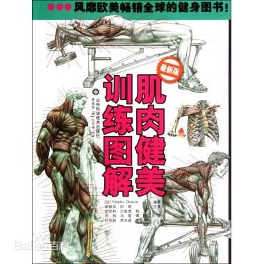 肌肉健美训练图解-第1张图片-体能网