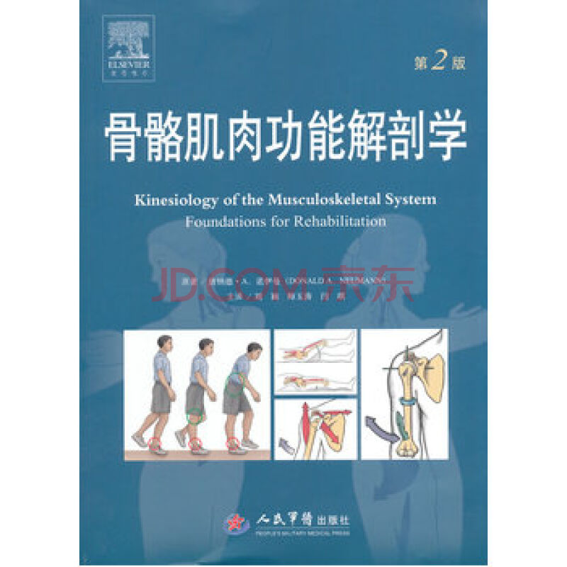 骨骼肌肉功能解剖学(第二版)-第1张图片-体能网