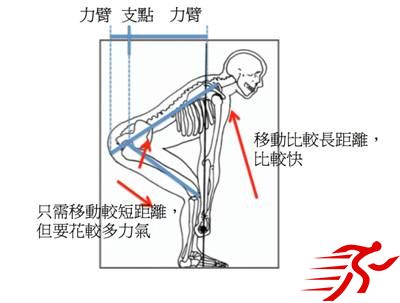 硬拉和举重动作起始位置的不同-第4张图片-体能网