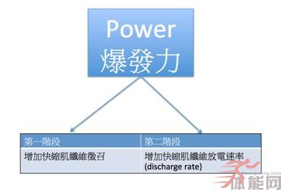 大重量和轻重量对于增加爆发力的效果