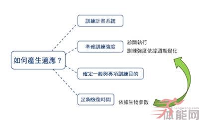 什么是:训练单元?-第1张图片-体能网 什么是:训练单元?-第1张图片-体能网