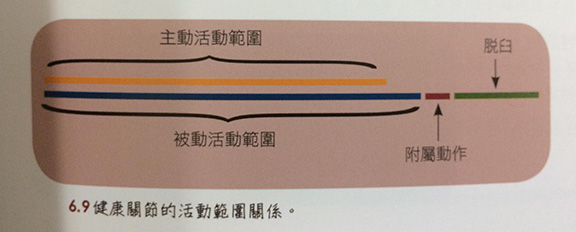 活动度的重要于大于柔软度-第2张图片-体能网