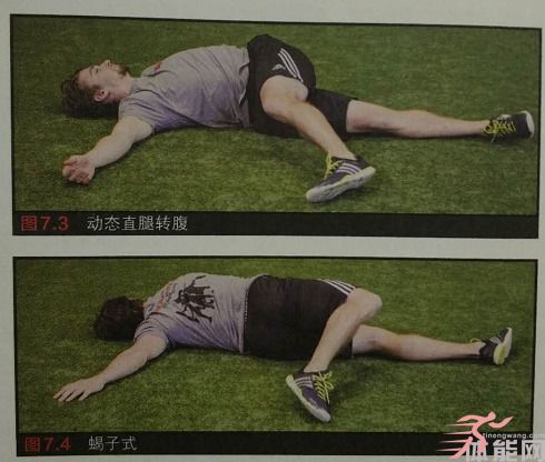 如何真正的理解核心训练-第2张图片-体能网