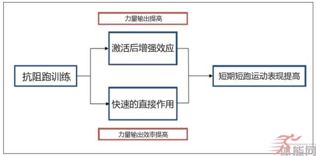 抗阻跑与激活后增强效应 