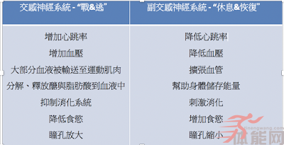 有氧训练vs 无氧训练- 心脏与自主神经系统适应的差异