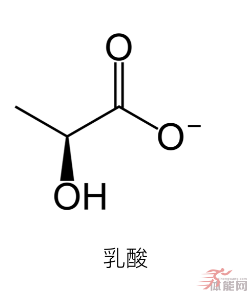 关于乳酸的三个迷思