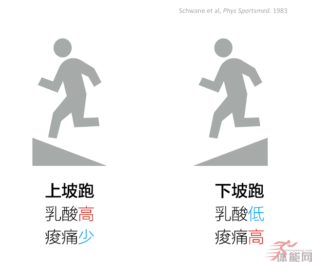 关于乳酸的三个迷思-第4张图片-体能网 关于乳酸的三个迷思-第4张图片-体能网