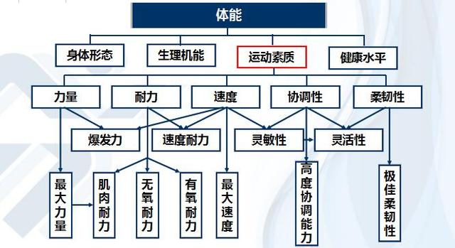 耐力好≠体能好