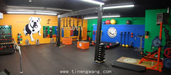 功能性训练室设计案例展示-第16张图片-体能网