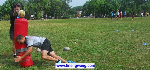 结合专项的力量训练概述-第3张图片-体能网