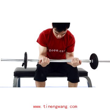 前臂的力量训练方法-第1张图片-体能网 前臂的力量训练方法-第1张图片-体能网