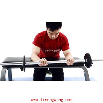 前臂的力量训练方法-第7张图片-体能网 前臂的力量训练方法-第7张图片-体能网