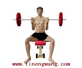 力量训练弯举动作的解剖图-第4张图片-体能网