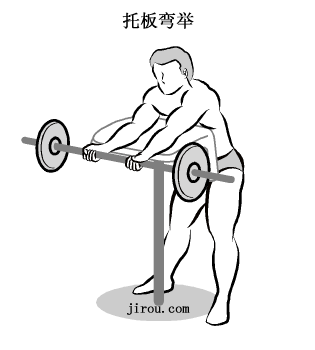 肱二头肌训练动作图解-第3张图片-体能网 肱二头肌训练动作图解-第3张图片-体能网