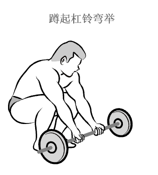 肱二头肌训练动作图解-第8张图片-体能网 肱二头肌训练动作图解-第8张图片-体能网