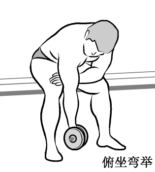 肱二头肌训练动作图解-第6张图片-体能网 肱二头肌训练动作图解-第6张图片-体能网