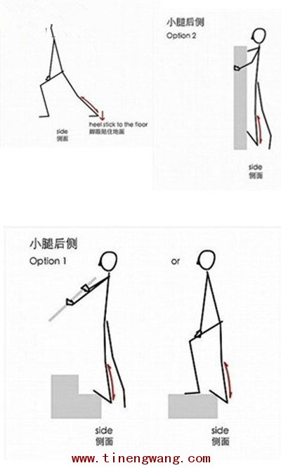 腿部拉伸动作-第1张图片-体能网