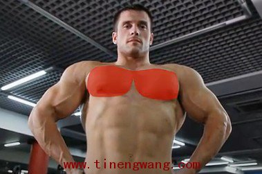 哑铃仰卧推举训练方法-第1张图片-体能网