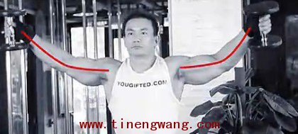 利用哑铃深度锻炼三角肌中束-第5张图片-体能网