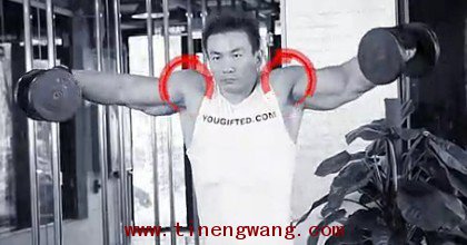 利用哑铃深度锻炼三角肌中束-第4张图片-体能网