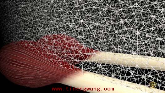 筋膜的解剖、生理功能和训练方法的概述-第3张图片-体能网 筋膜的解剖、生理功能和训练方法的概述-第3张图片-体能网