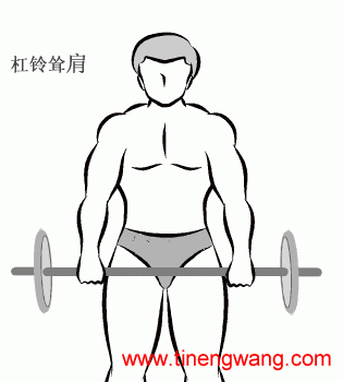 颈部训练，保护你的颈椎-第3张图片-体能网