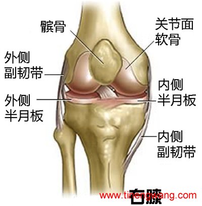 跑步膝的形成因素与预防措施-第2张图片-体能网 跑步膝的形成因素与预防措施-第2张图片-体能网