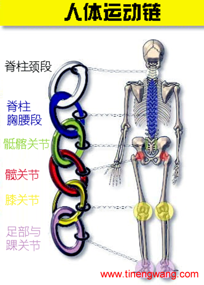 跑步膝的形成因素与预防措施-第1张图片-体能网 跑步膝的形成因素与预防措施-第1张图片-体能网