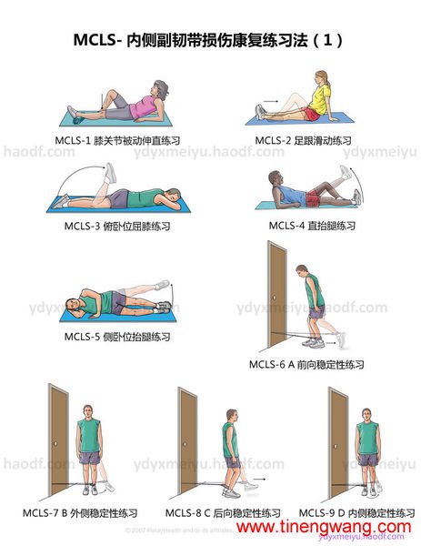 MCLS-内侧副韧带损伤康复练习法-第1张图片-体能网