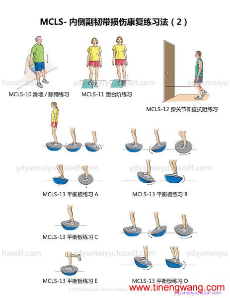 MCLS-内侧副韧带损伤康复练习法-第2张图片-体能网