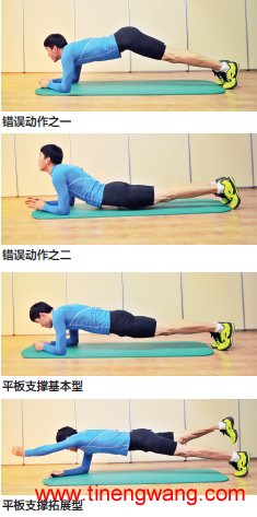 重新认识平板支撑训练-第1张图片-体能网