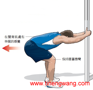 运动后的静态伸展-第3张图片-体能网