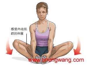 运动后的静态伸展-第11张图片-体能网