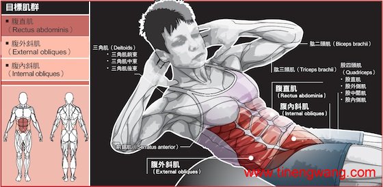 核心肌群-第1张图片-体能网