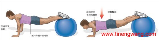 核心肌群-第4张图片-体能网