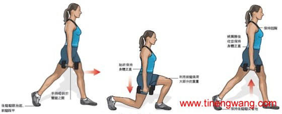 腿部肌群-第3张图片-体能网